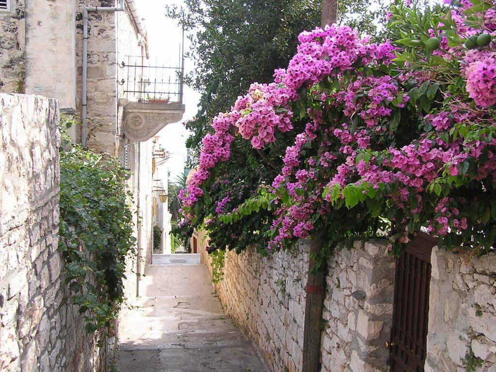 Mima Hvar Apartament *
